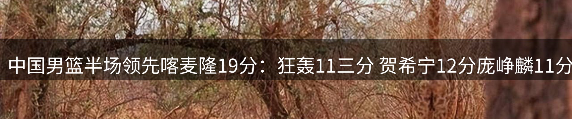 资讯动态