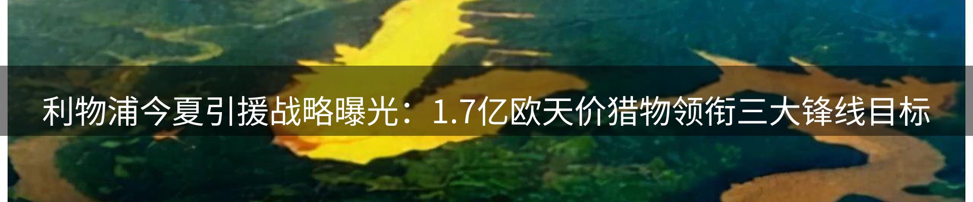 资讯动态