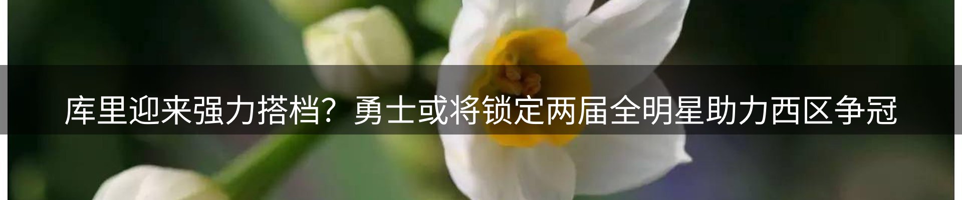 资讯动态