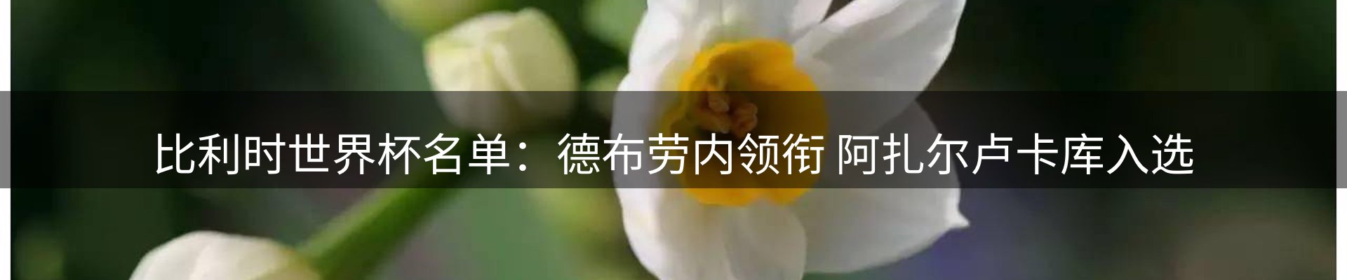 资讯动态