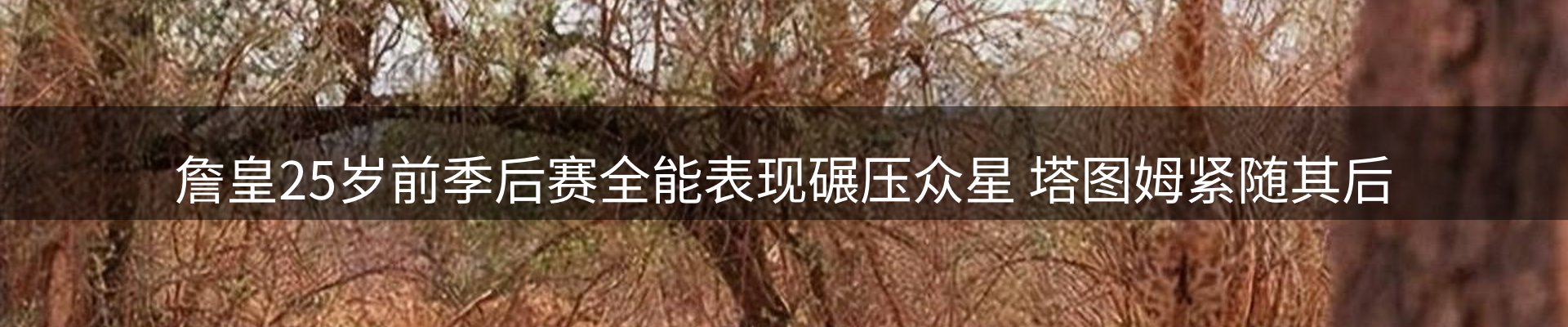 资讯动态