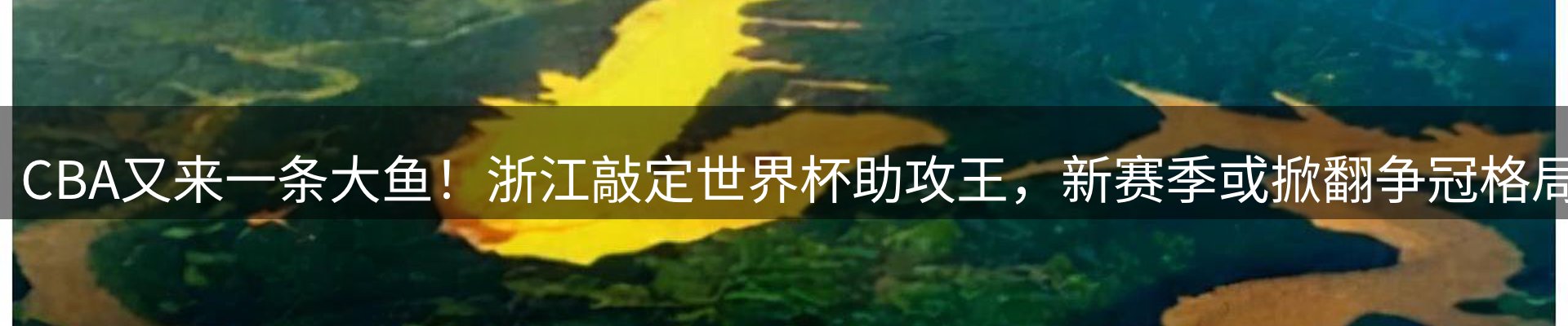 资讯动态